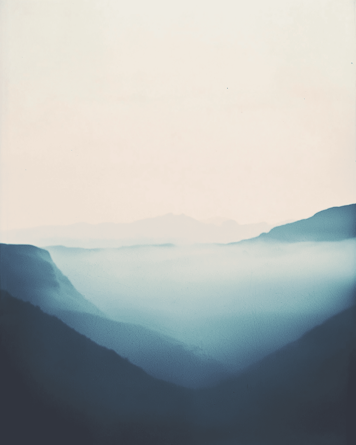 A second frame from Morning field trip